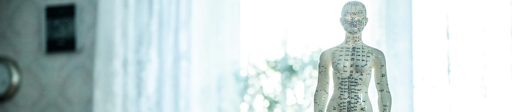 Corso di Cromopuntura - Scuola di Naturopatia